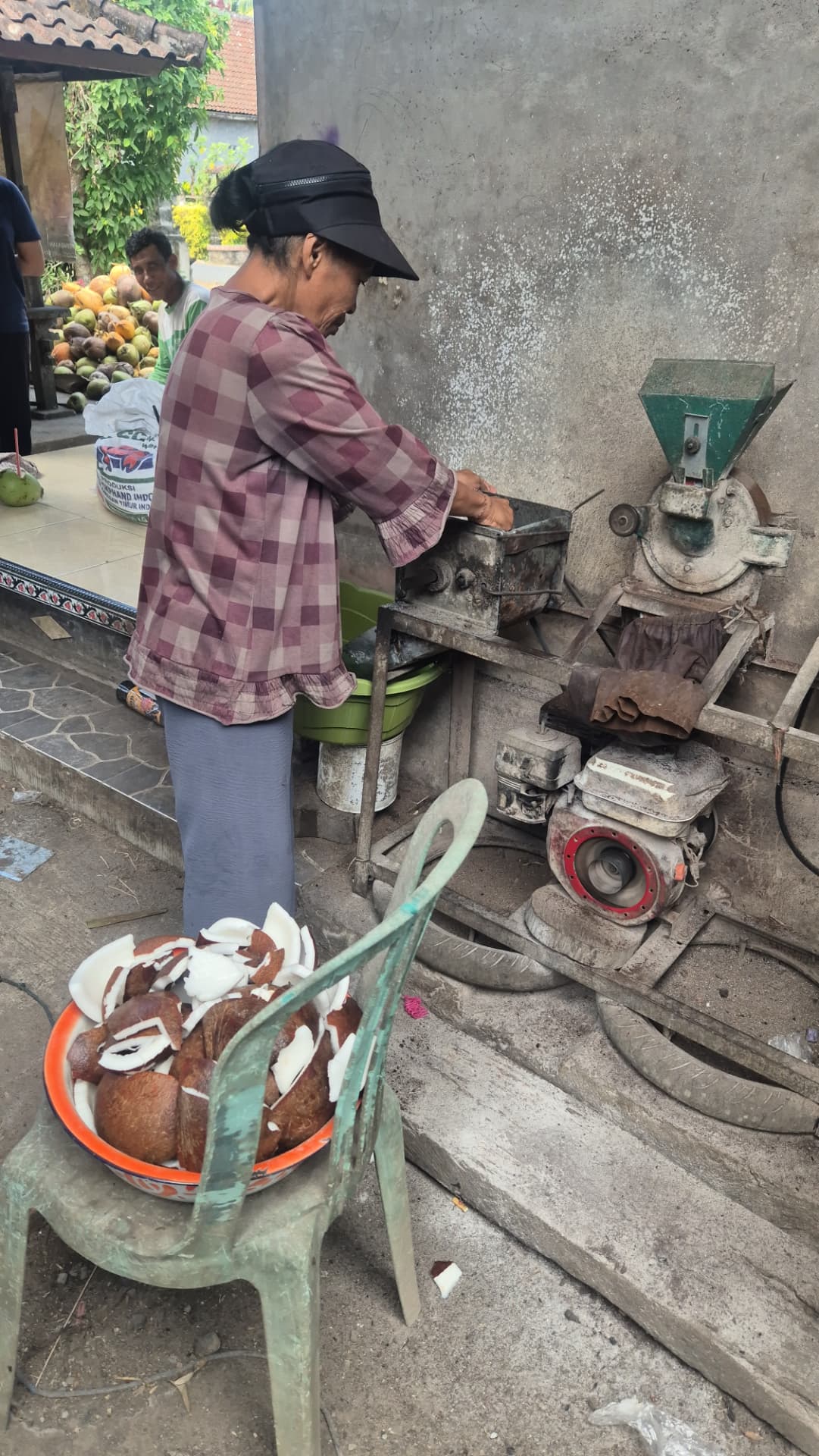 Een Balinese vrouw raspt verse kokosnoten met de elektrische kokosrasp op het terrein van de plantage