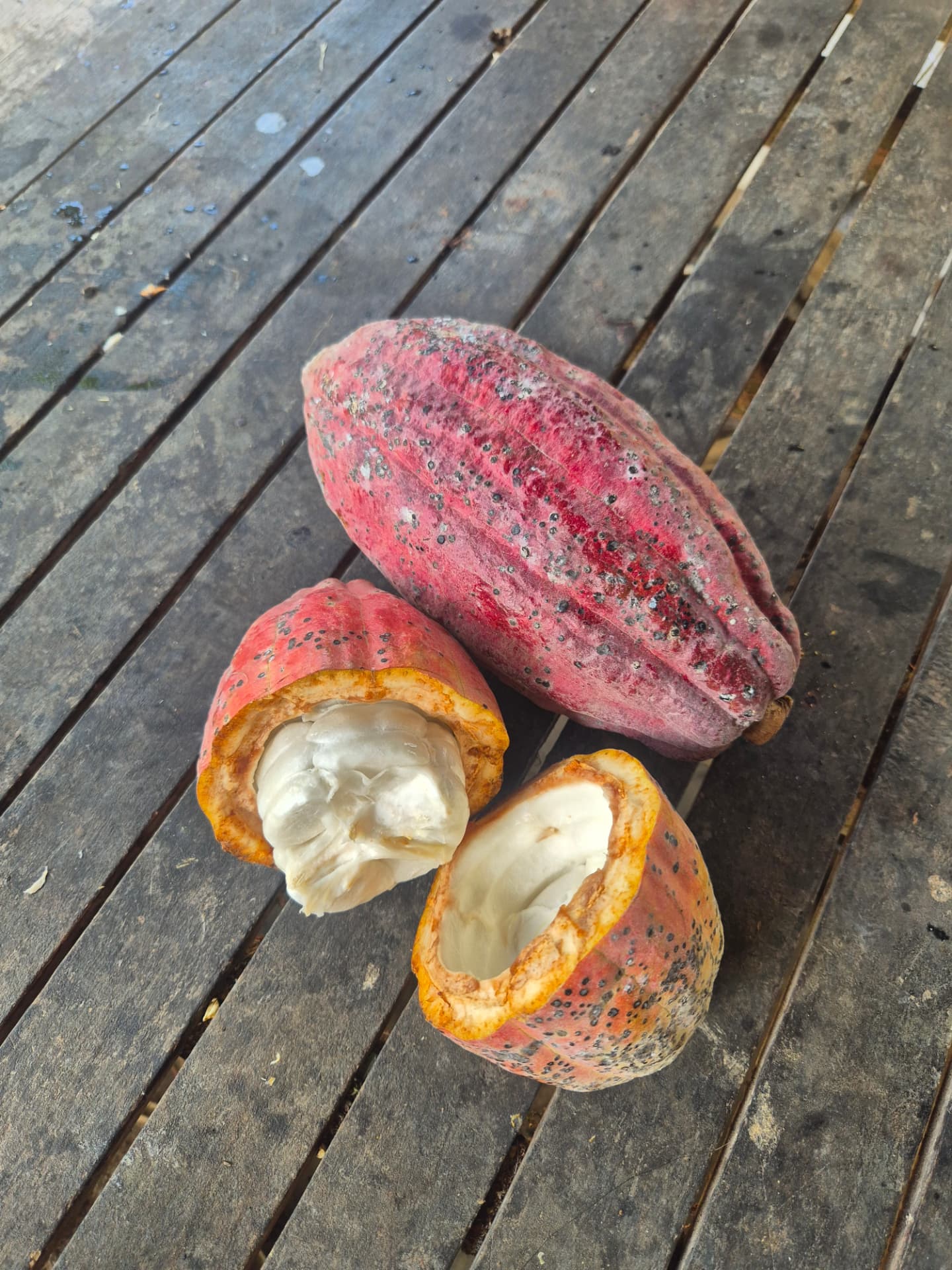 Een opengebroken cacaovrucht met witte pulp naast een hele roze cacaopeul op een houten tafel